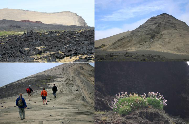 Lava; cone; climbing ridge; and first Armeria maritima 
